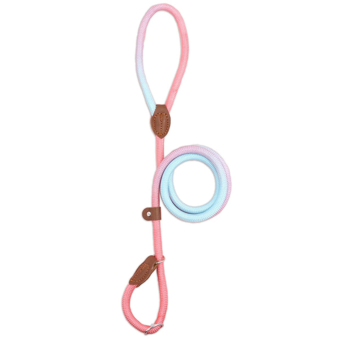 Clémentine Leash – Colorful Dog Leash for Stylish Walking Bowlift