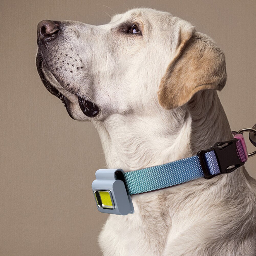 Pocket Must-Have Mini Magnetic Walking Lamp Clip | Bowlift