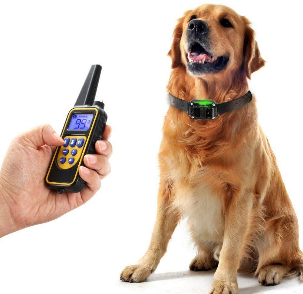 BowLift | Dog training collar waterproof remote control