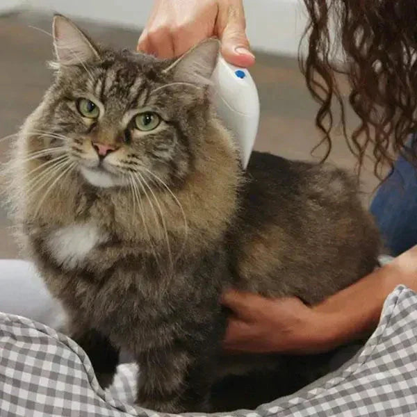 Electric Flea Remover for Pets - FleaZap Bowlift