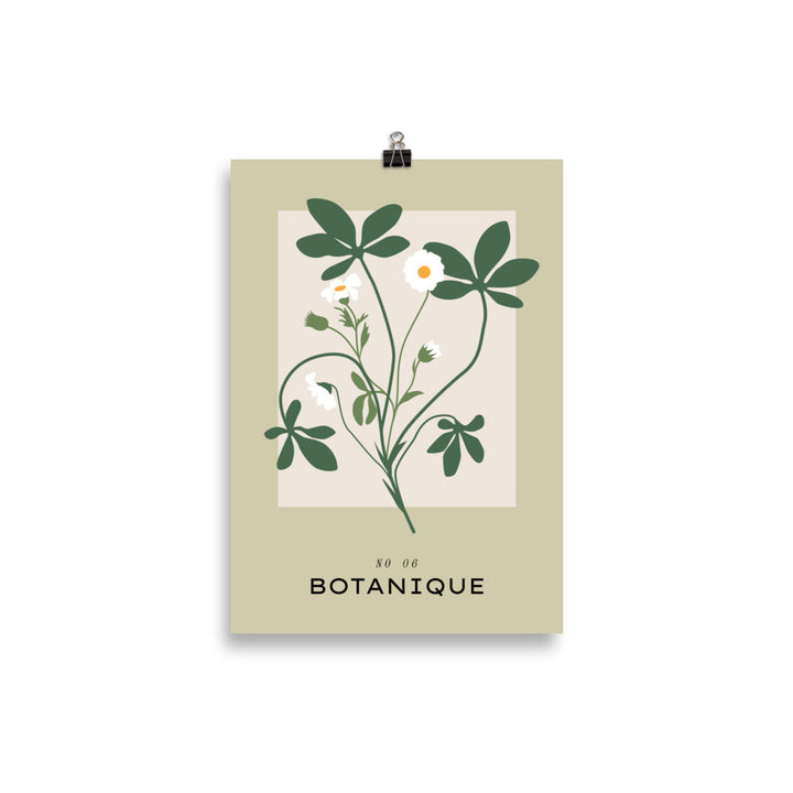 Botanique No. 6 | Bowlift