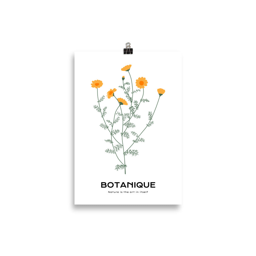 Dandelions | Bowlift
