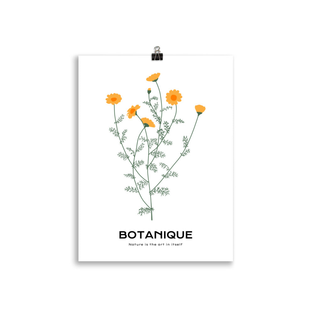 Dandelions | Bowlift