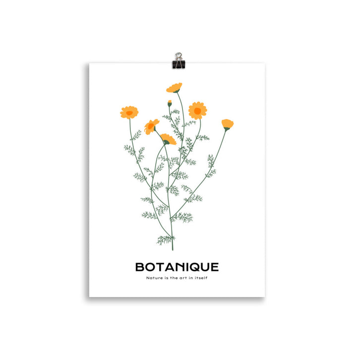 Dandelions | Bowlift