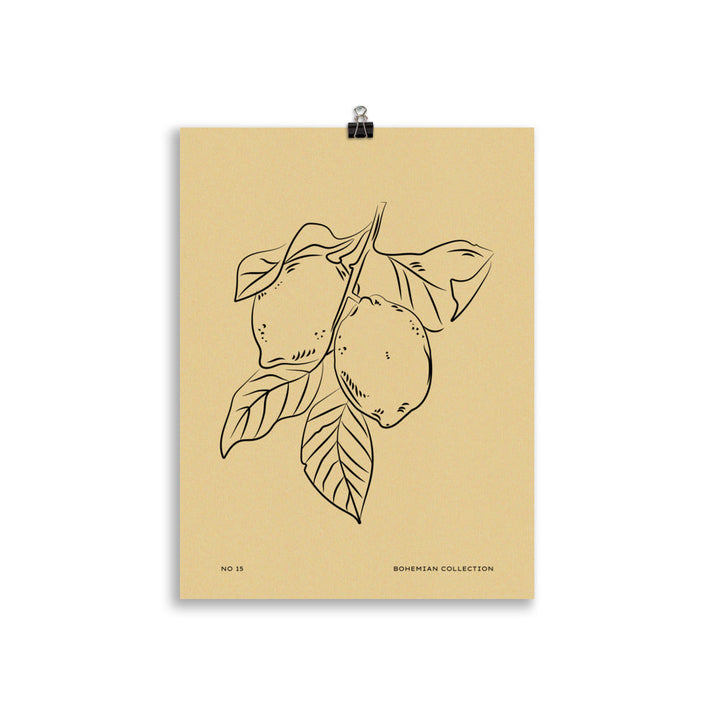 Lemons | Bowlift