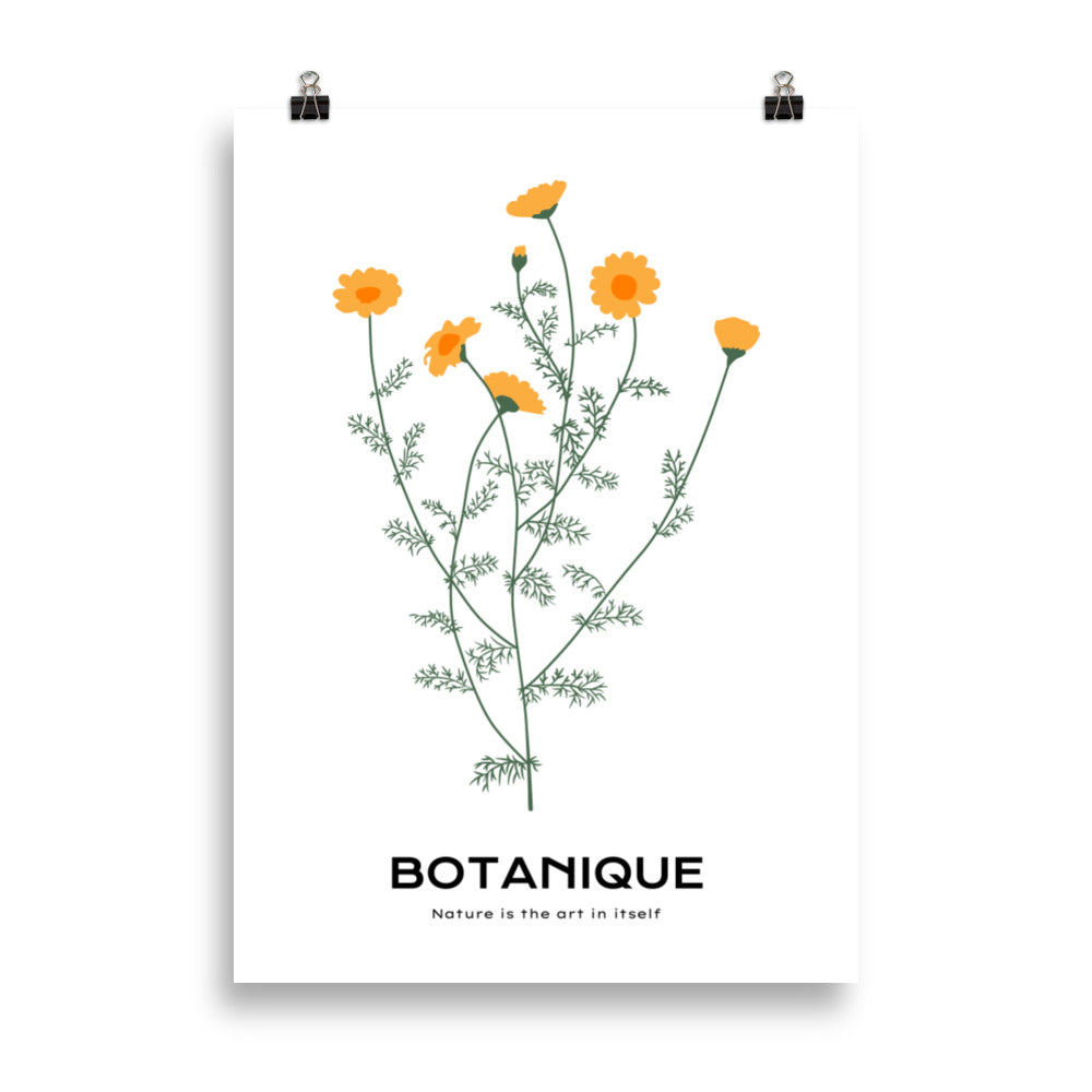 Dandelions | Bowlift