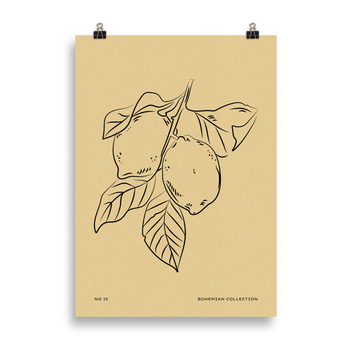 Lemons | Bowlift