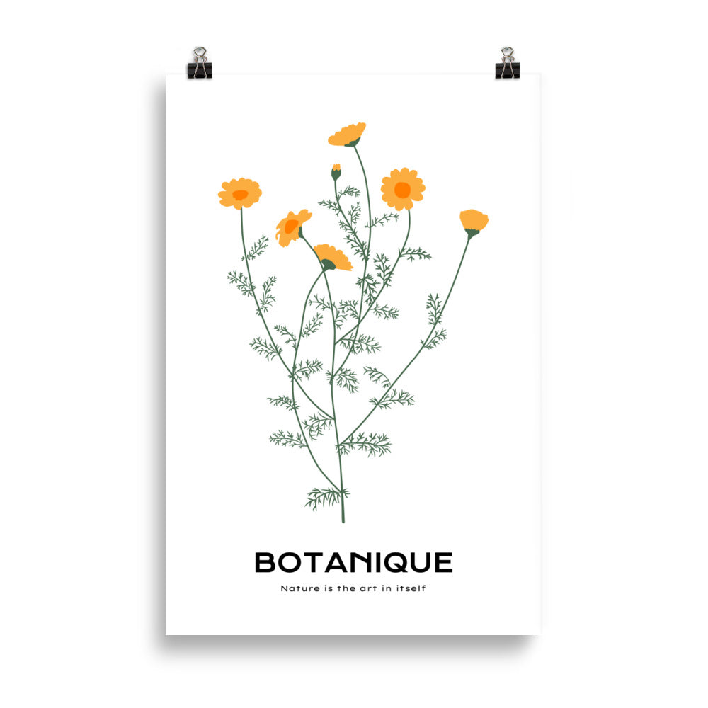 Dandelions | Bowlift