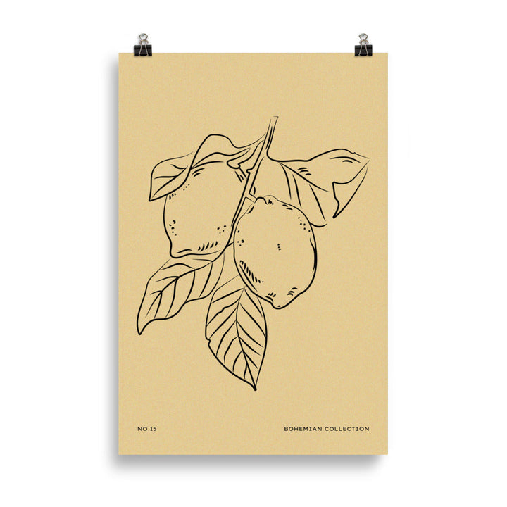 Lemons | Bowlift