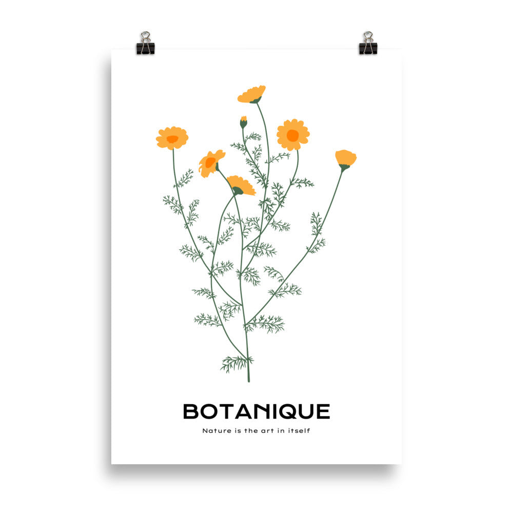 Dandelions | Bowlift