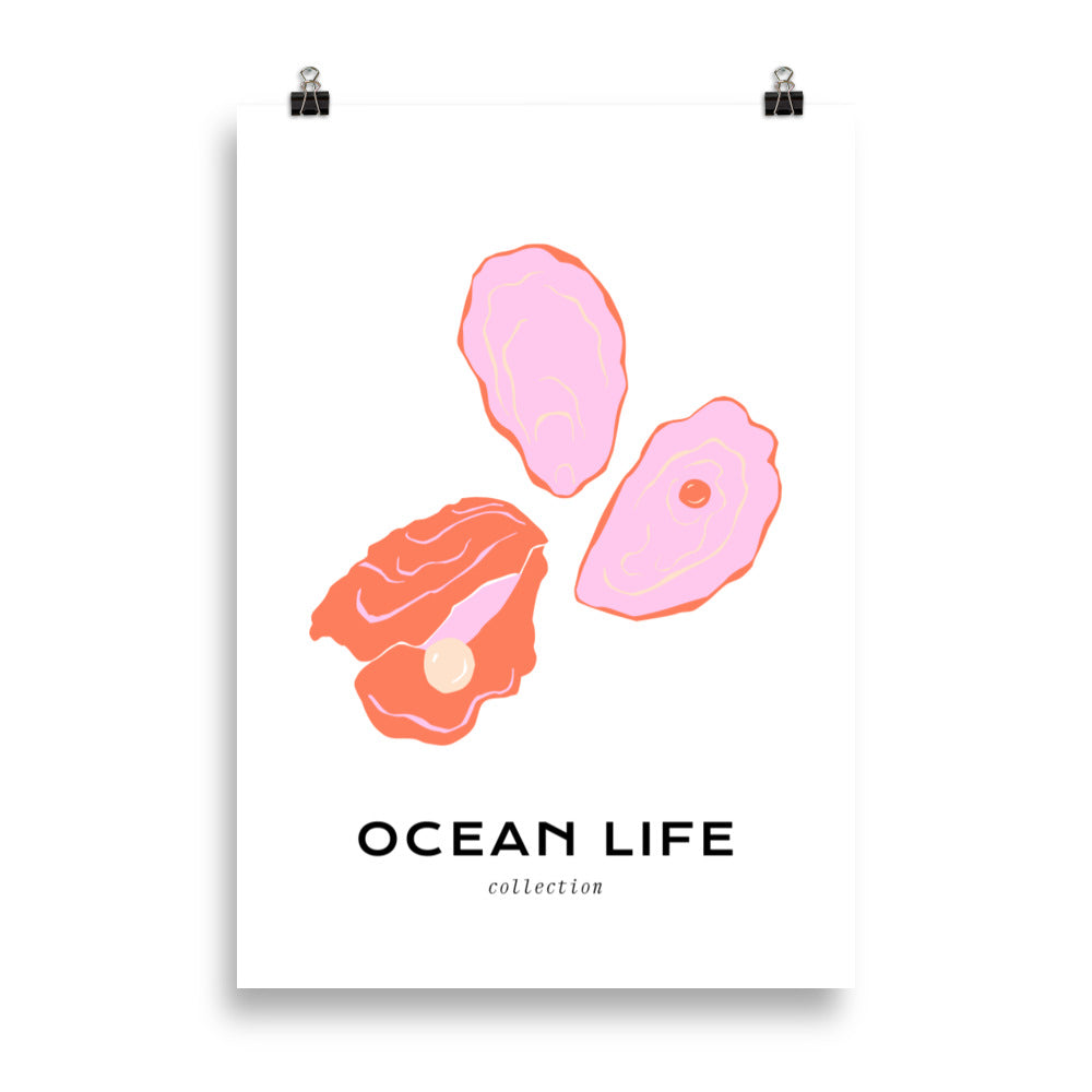 Ocean Life - Shell | Bowlift