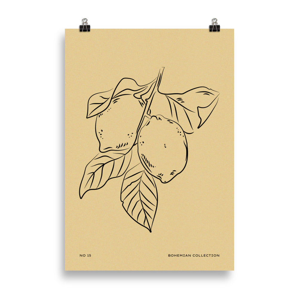 Lemons | Bowlift