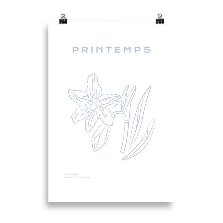 Printemps - Daffodil | Bowlift