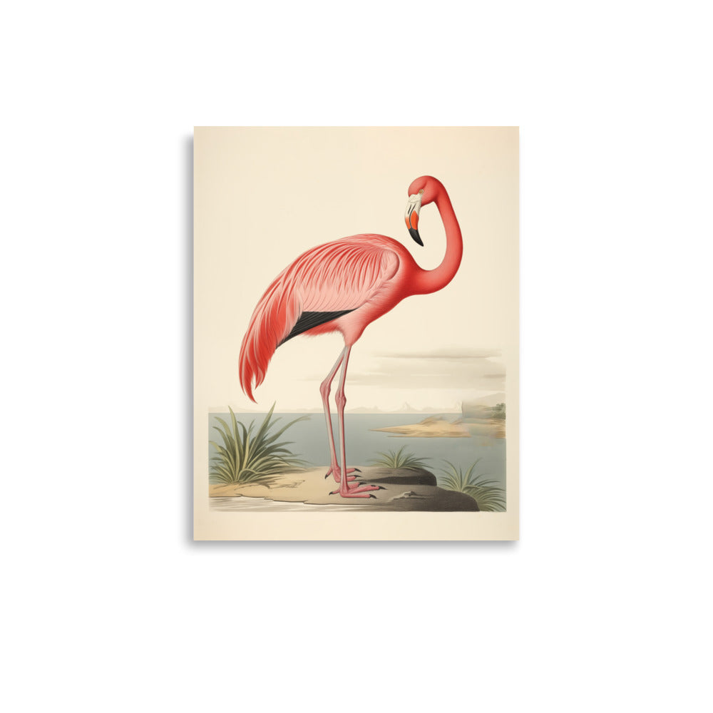 Flamingo | Bowlift