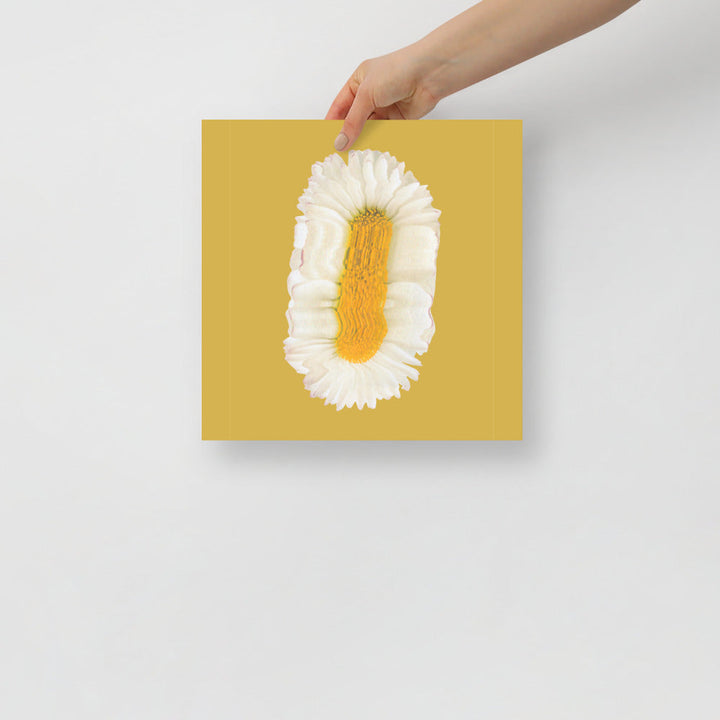 Lazy Daisy | Bowlift