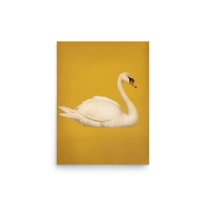 Swan | Bowlift
