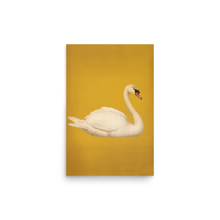 Swan | Bowlift