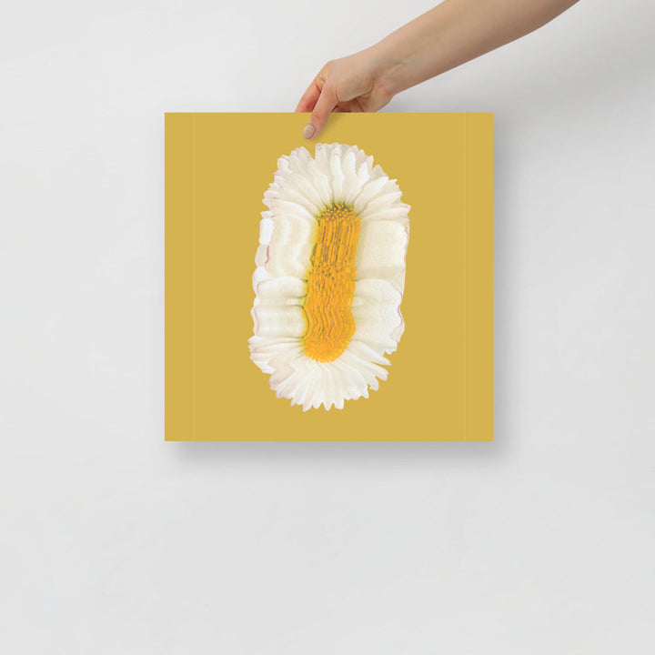 Lazy Daisy | Bowlift