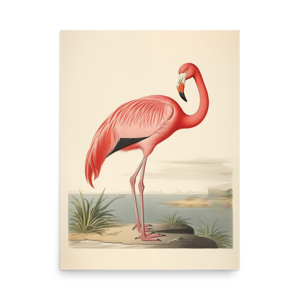 Flamingo | Bowlift