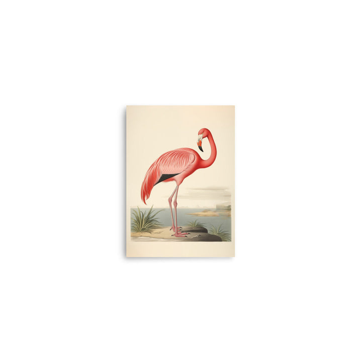 Flamingo | Bowlift