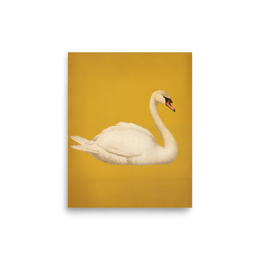 Swan | Bowlift
