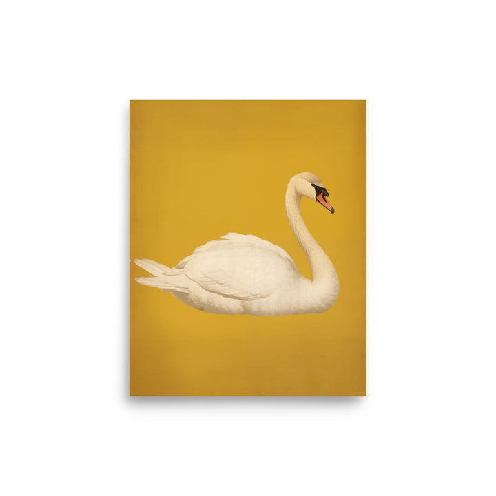 Swan | Bowlift