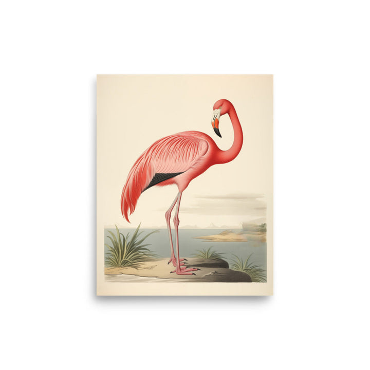 Flamingo | Bowlift