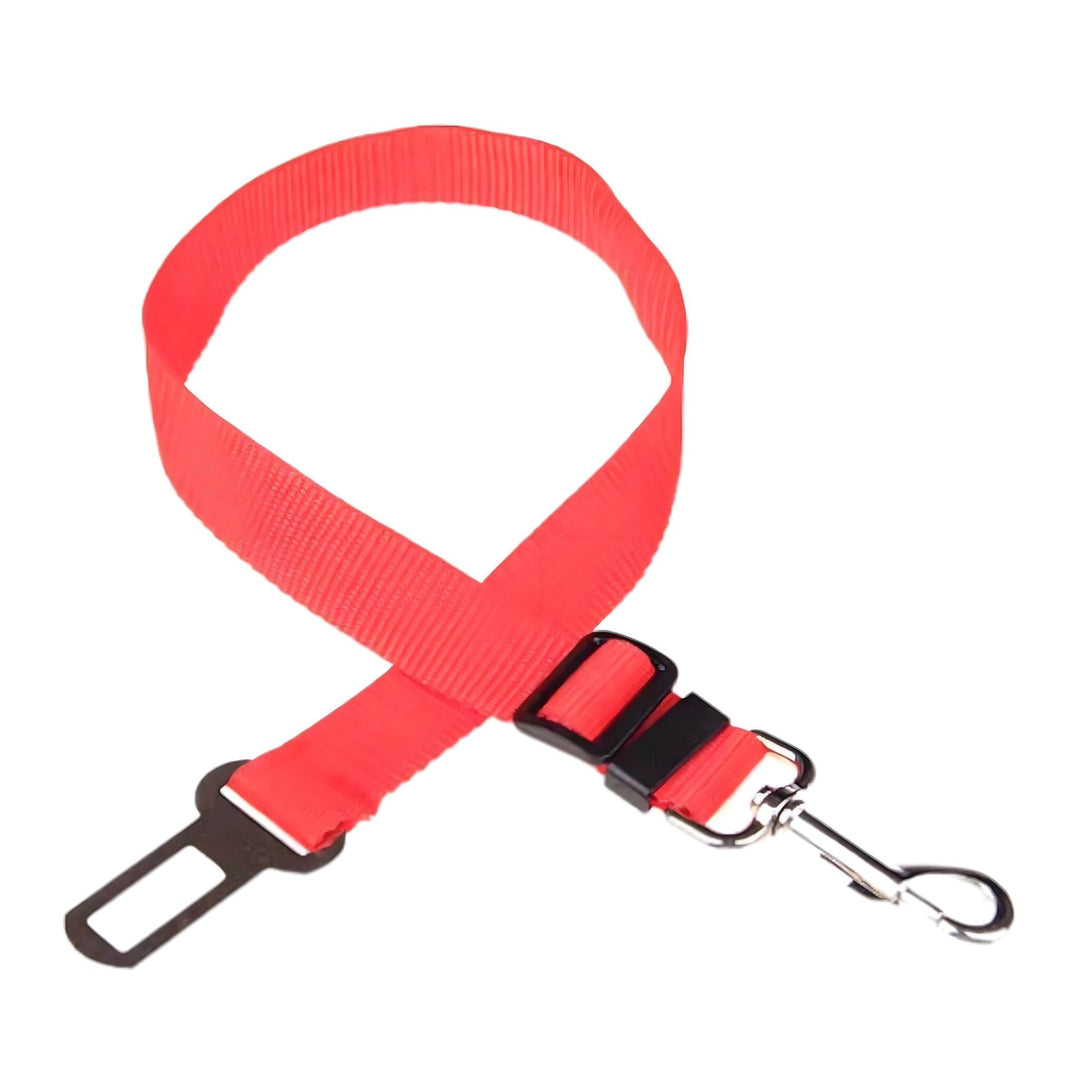 Bowlift Gurt-Harness
