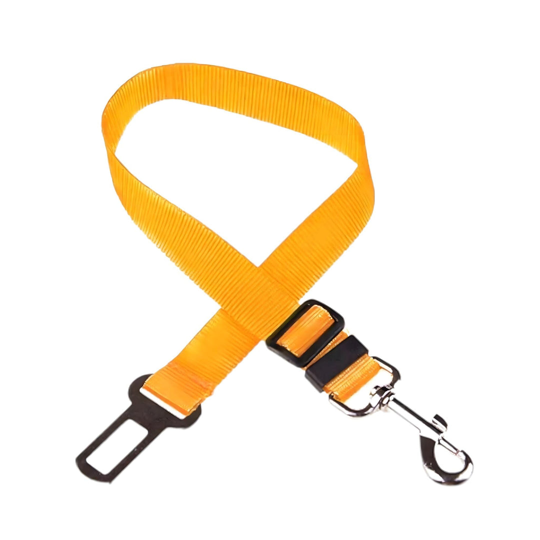 Bowlift Gurt-Harness