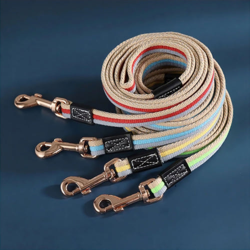 Bowlift Paws Dog Leash