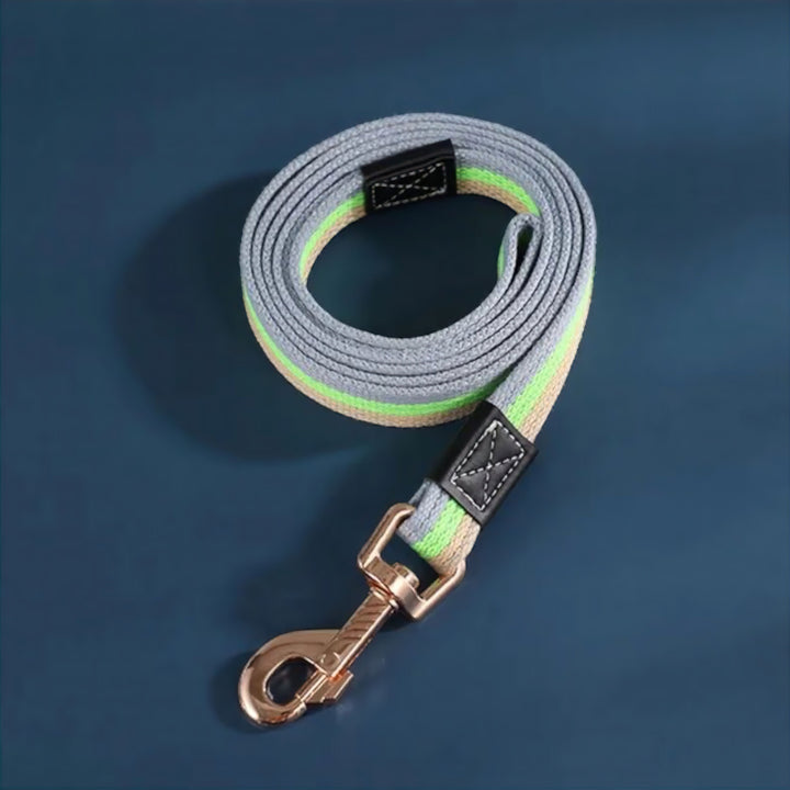 Bowlift Paws Dog Leash