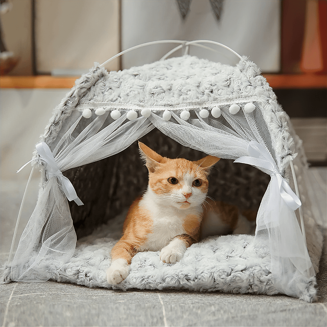 Bowlift Cat Tent
