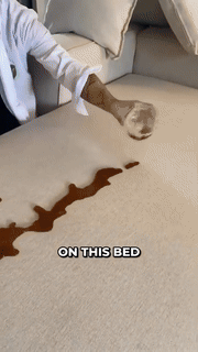 BowLift | Waterproof Elastic Sofa Cover