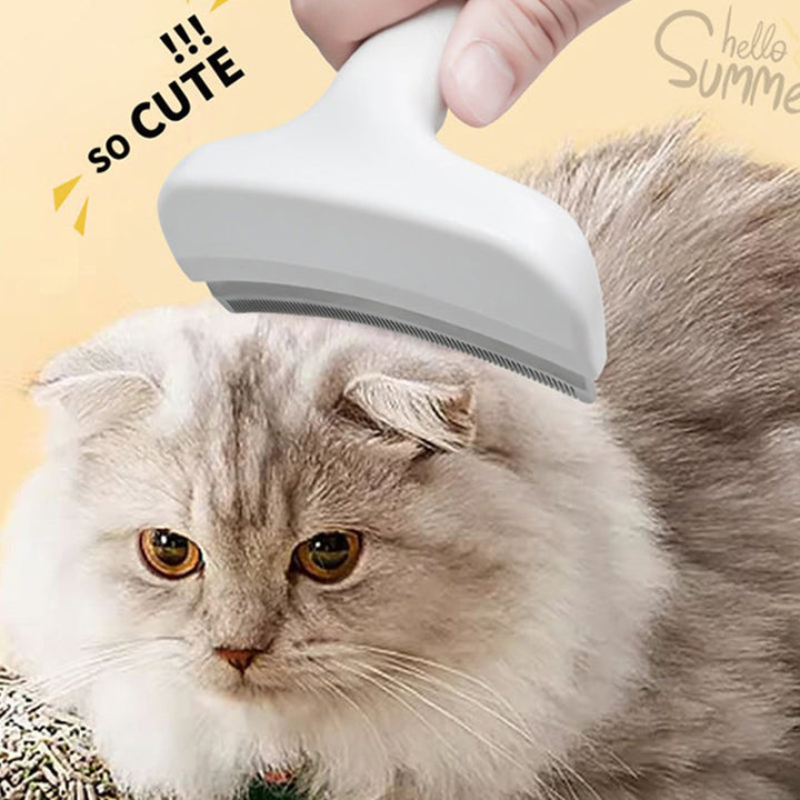 BowLift | TidyFurr – Simple fur care for a clean, happy home