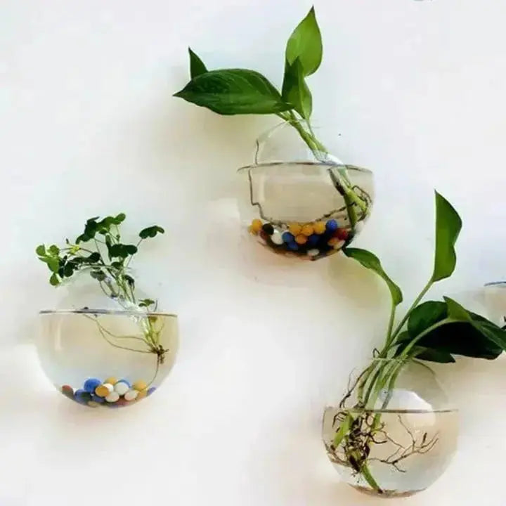BowLift | GlasOase — Bring Your Walls to Life with Fresh Nature Power and Style
