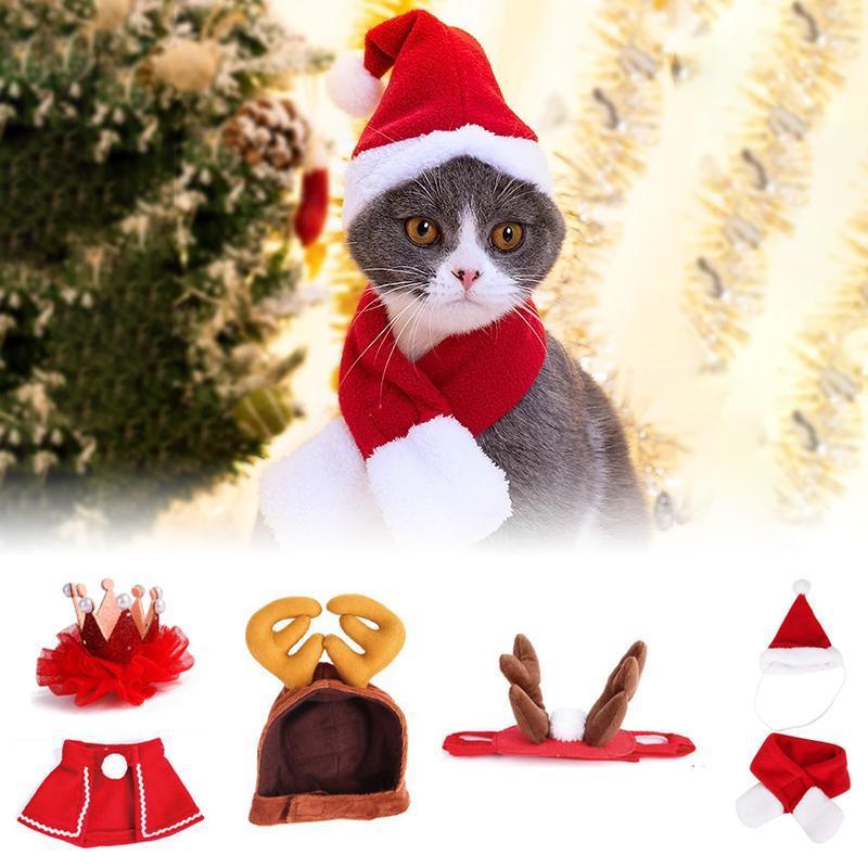 BowLift | FestivaPaws – Warm festive pet outfits that attract attention