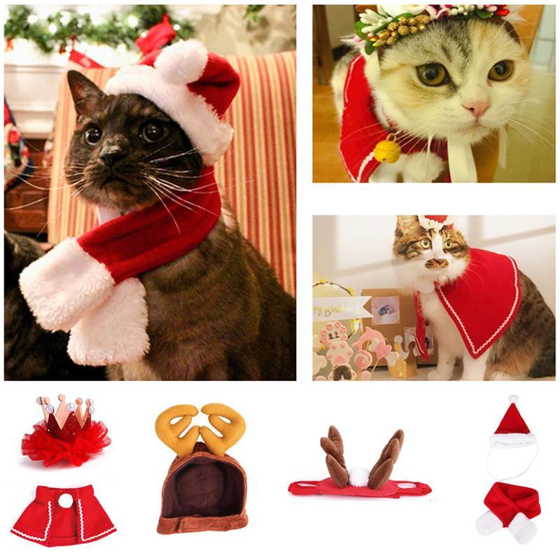 BowLift | FestivaPaws – Warm festive pet outfits that attract attention