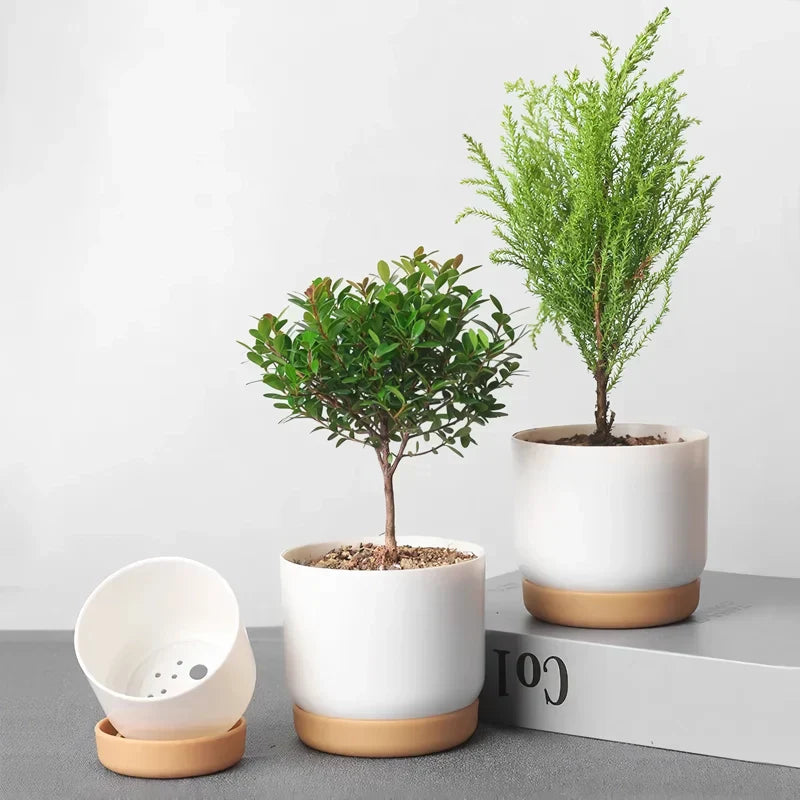 BowLift | Double-Layer Self-Watering Succulent Plant Pot for Home Decor