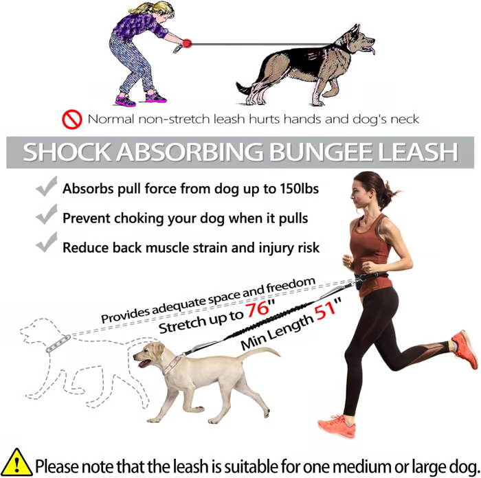FlowLeash — Experience gentle control and relaxed walks without jerks! | Bowlift