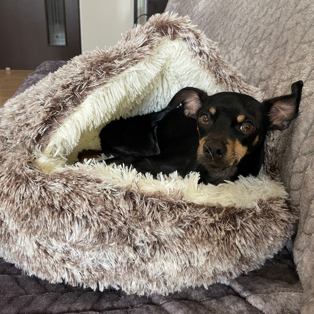 BowLift |  Premium Pet Bed
