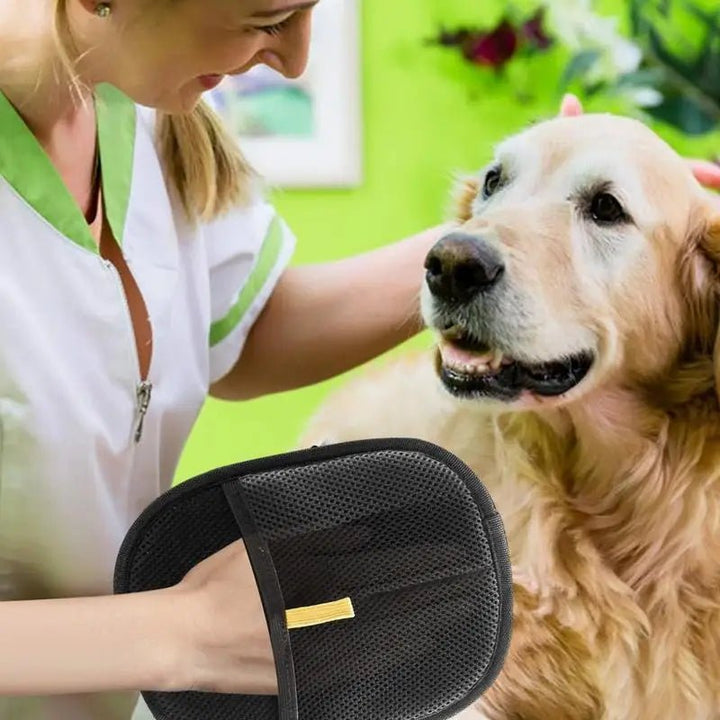 SilkPaw — Transforms annoying fur care into loving cuddle time | Bowlift