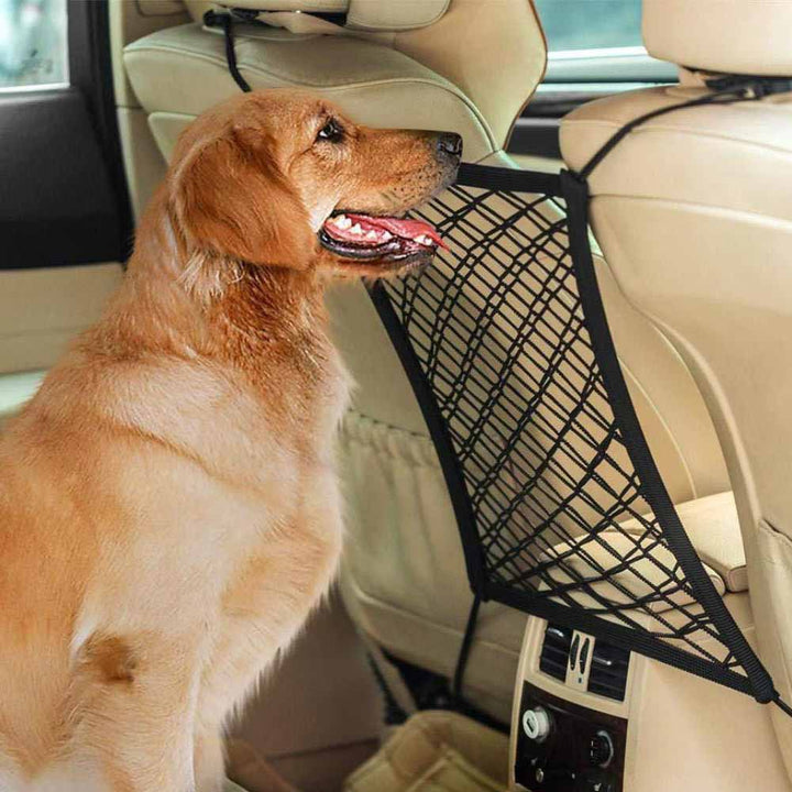 PowerGuard Organizer — Make your car a stress-free fortress full of order and safety! | Bowlift