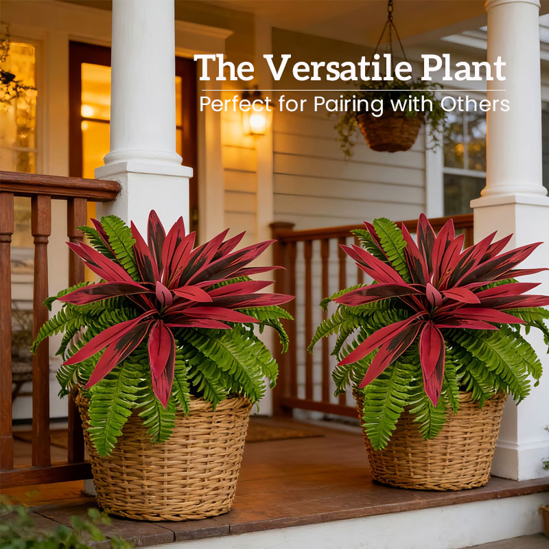 VerdoGlow — Vibrant freshness without effort that will transform your home forever | Bowlift