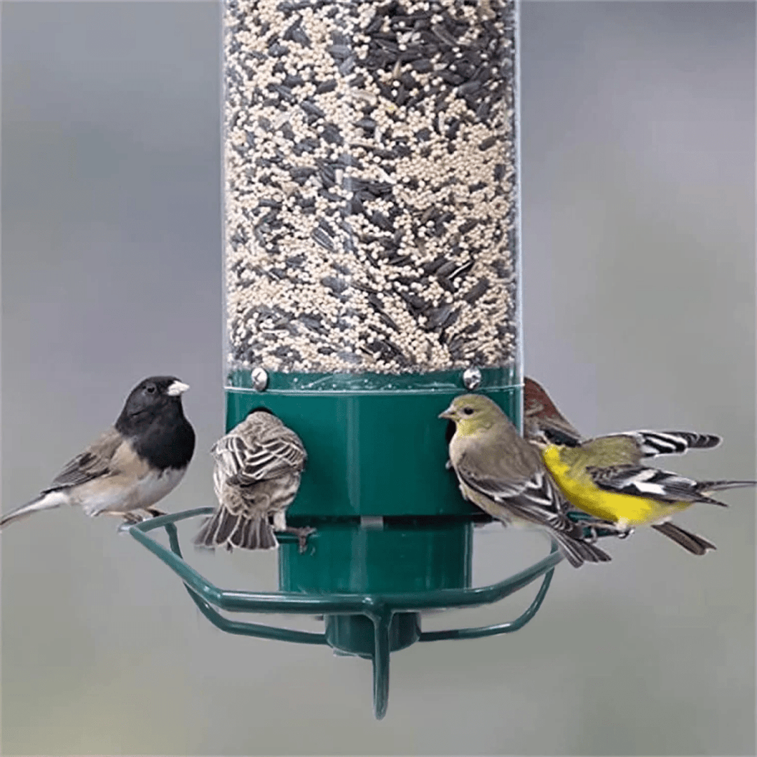 BowLift | FEEDERGUARD – Squirrel-Proof Birdhouse for the Garden