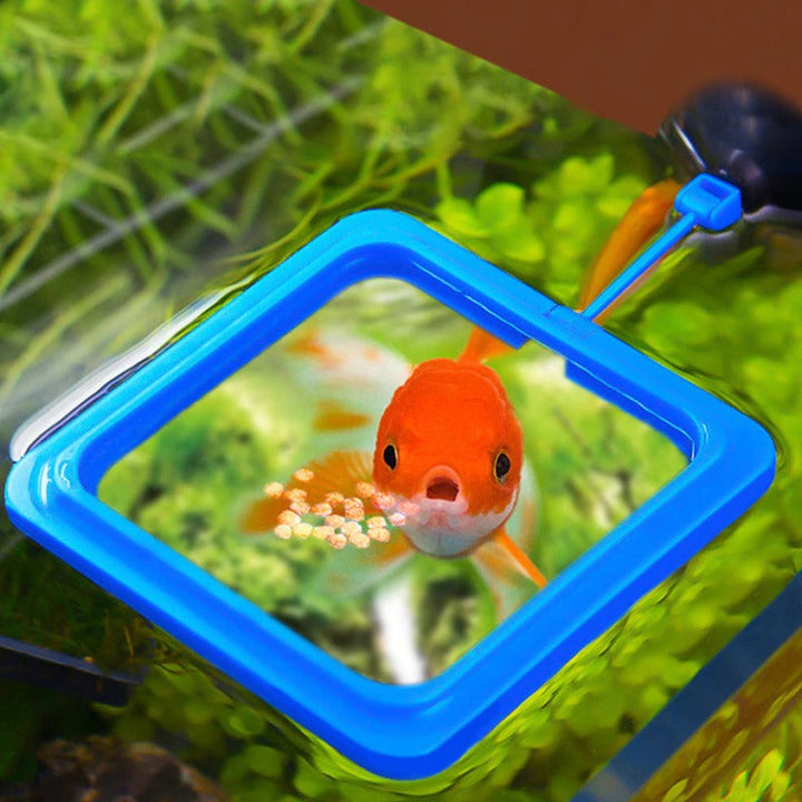 BowLift | Aquarium feeding ring