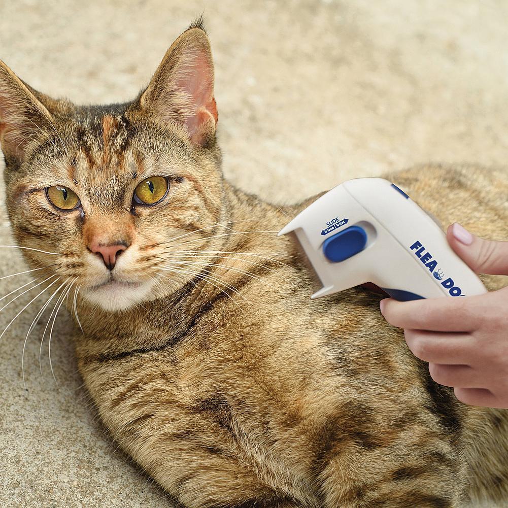 BowLift | Pet Flea Comb