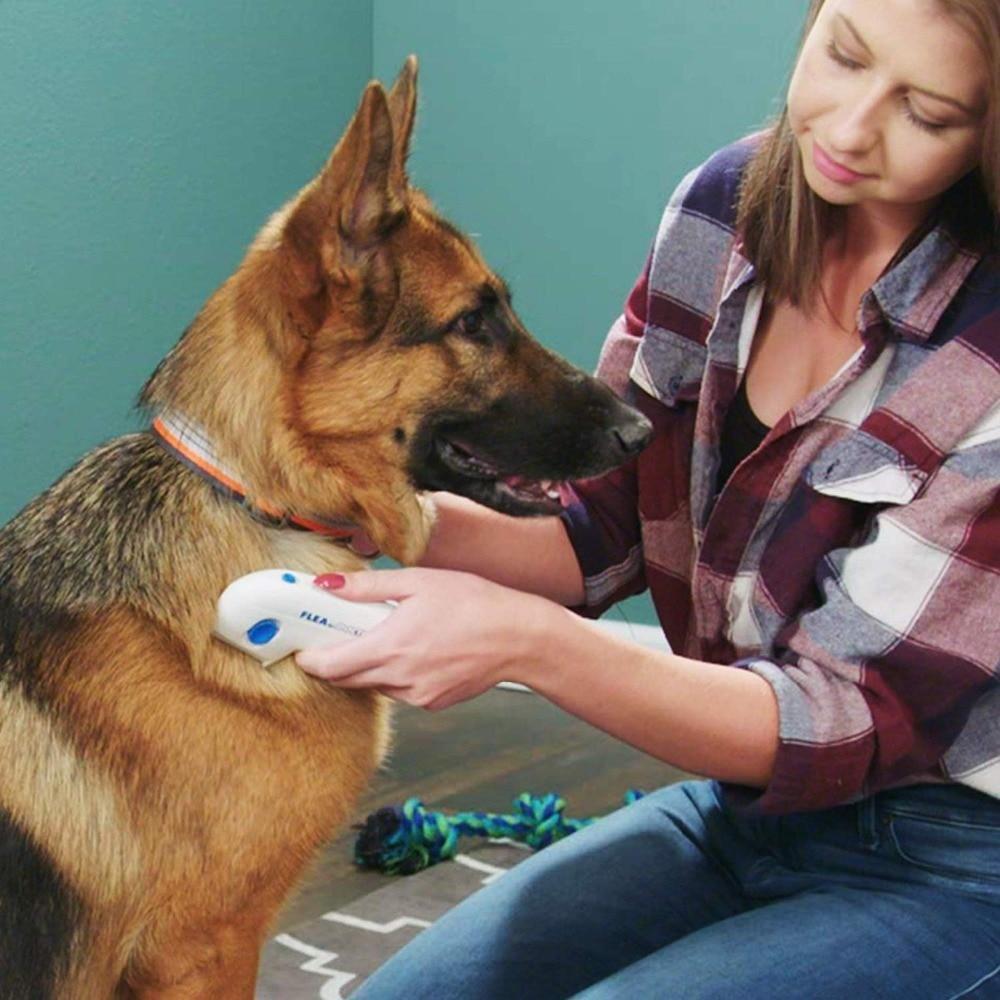 BowLift | Pet Flea Comb