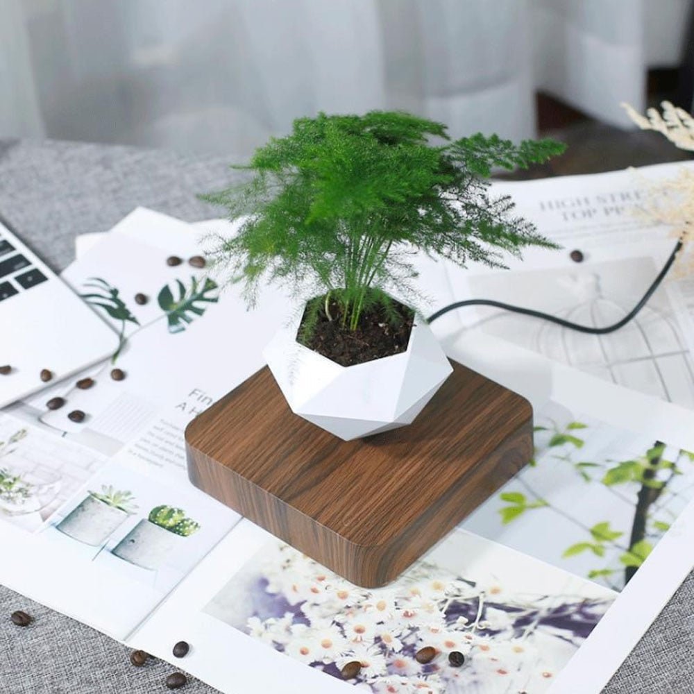 BowLift | Float Magic Flower Pot