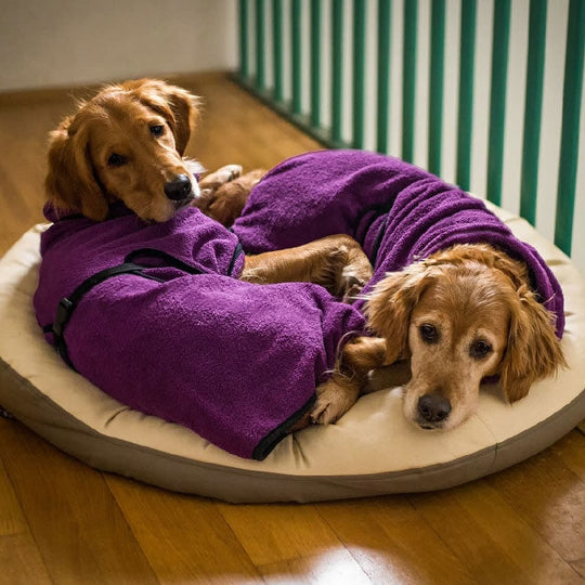 Fluffyheaven Liam Pet Bathrobe – Soft, Absorbent & Comfortable Bowlift
