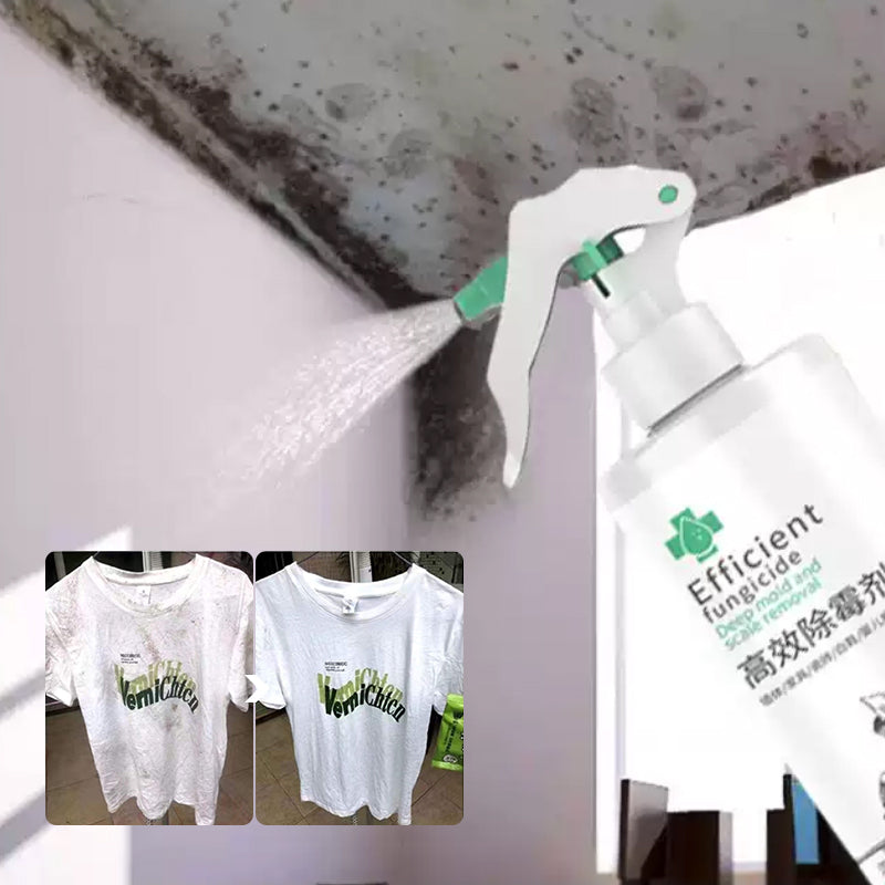 BowLift | High-Efficiency Mold Remover